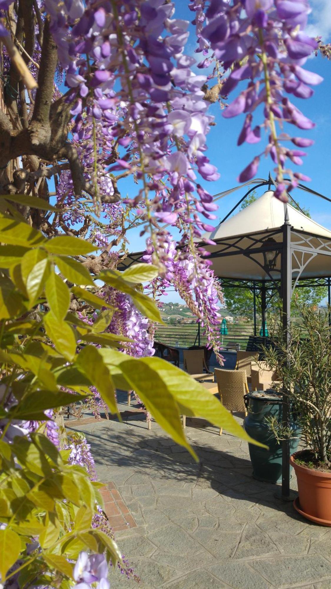 Locanda Del Boscogrande Montegrosso d'Asti ภายนอก รูปภาพ