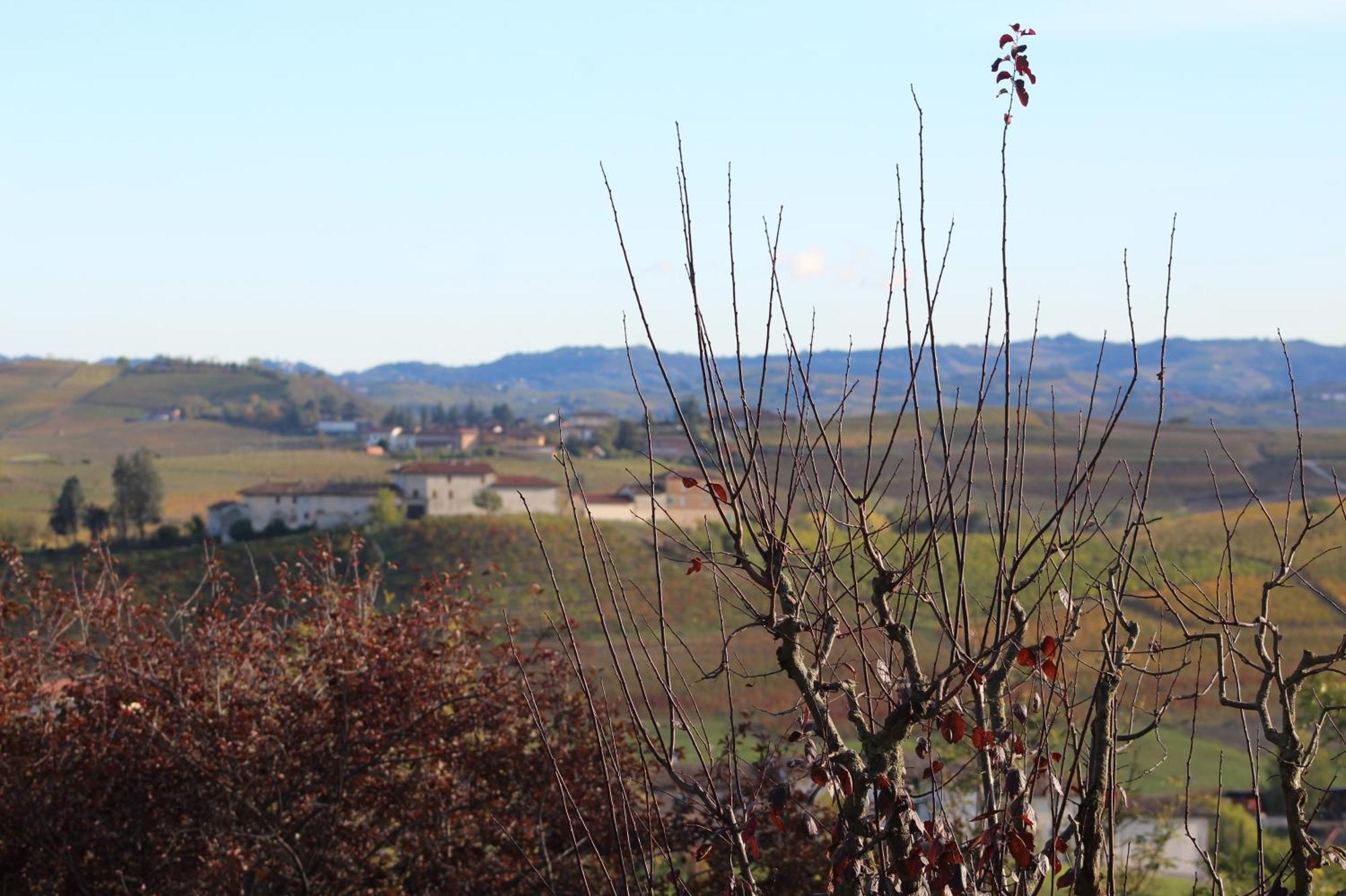 Locanda Del Boscogrande Montegrosso d'Asti ภายนอก รูปภาพ