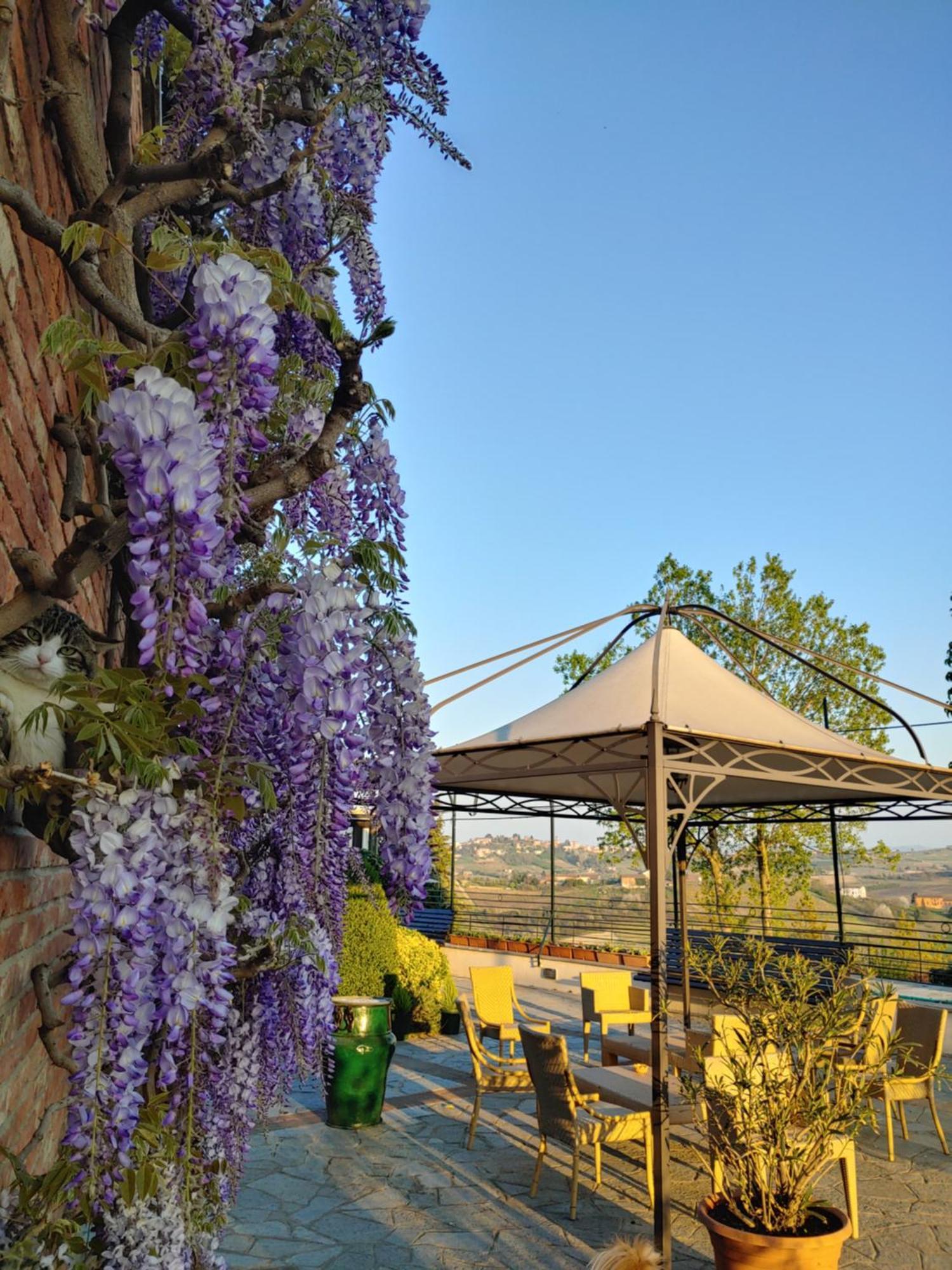 Locanda Del Boscogrande Montegrosso d'Asti ห้อง รูปภาพ