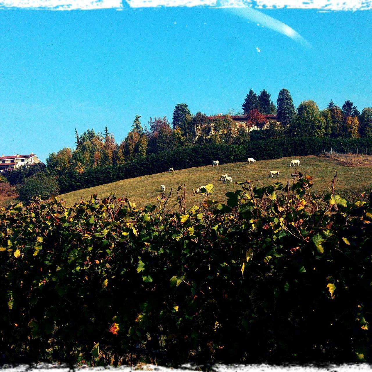 Locanda Del Boscogrande Montegrosso d'Asti ภายนอก รูปภาพ